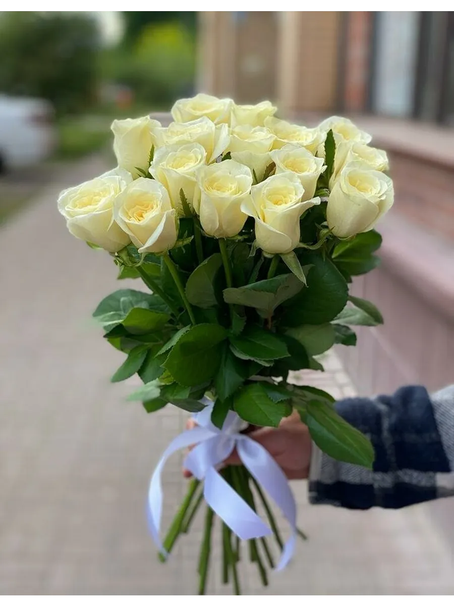 Букет из 15 белых роз