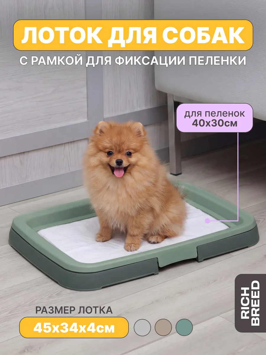 Лоток для собак под пеленку