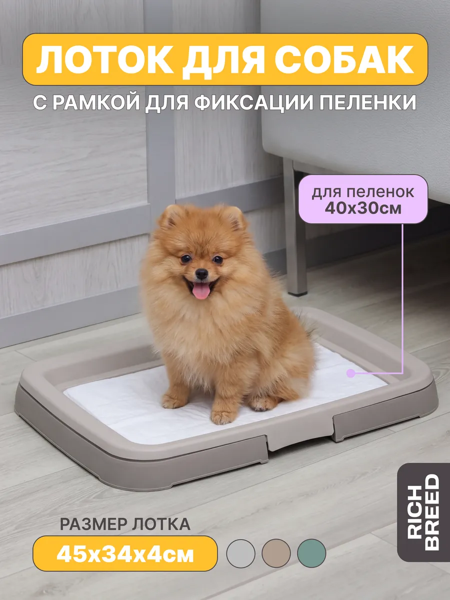 Лоток для собак под пеленку