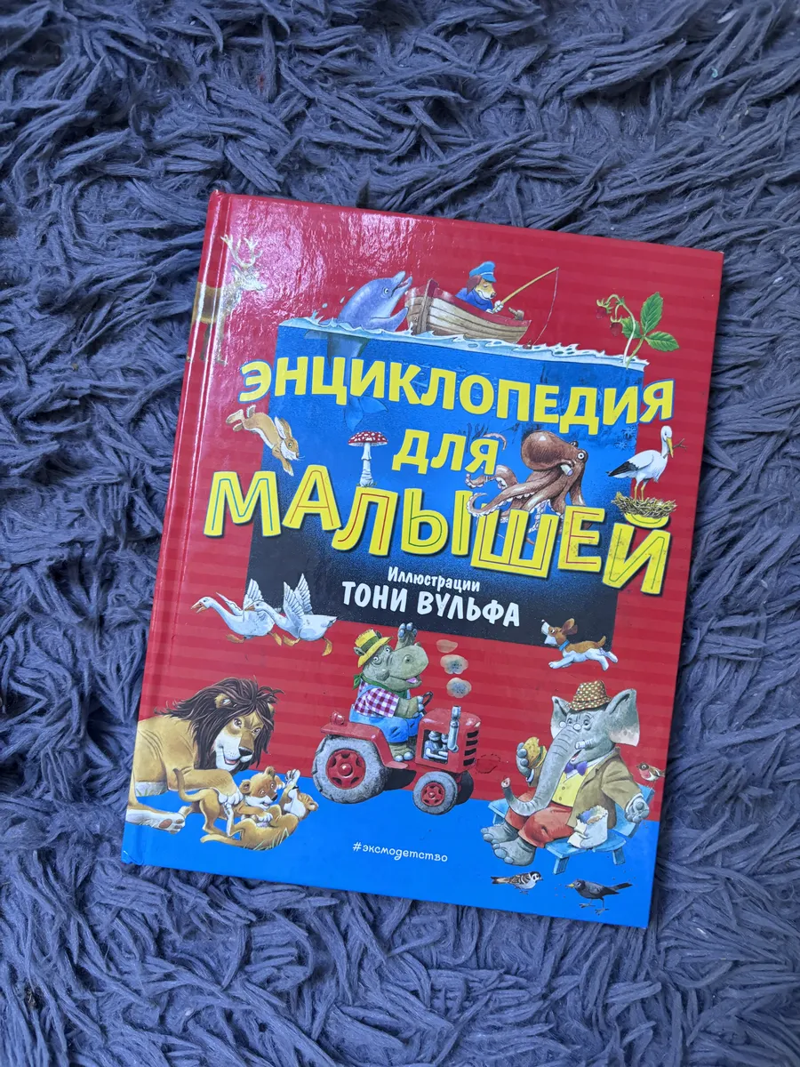 Энциклопедия для малыша с картинками Тони Вульфа