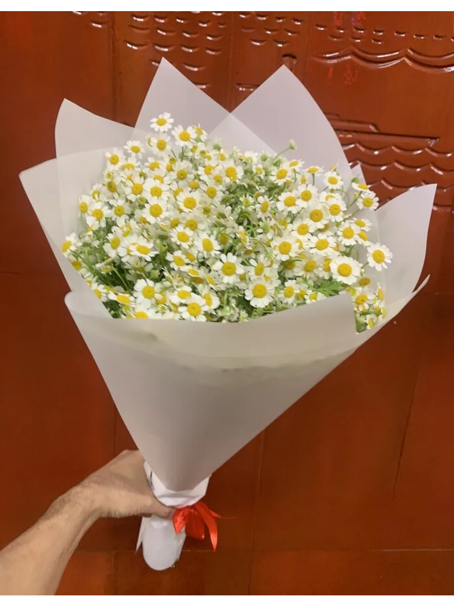Ромашки для радости