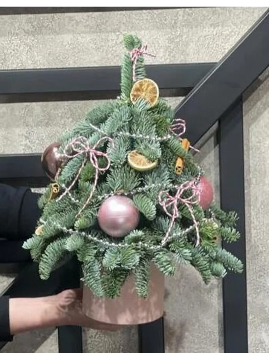 Елочка