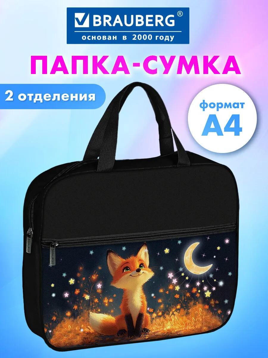Папка сумка для тетрадей, труда, рисования и изо А4 в школу
