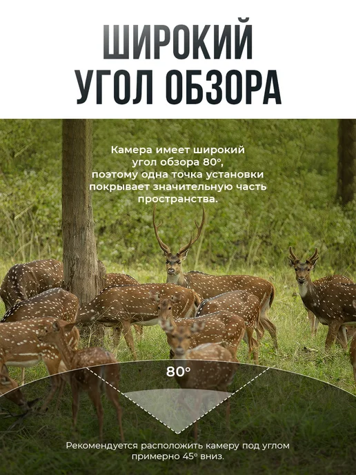 Фотоловушка для охоты и охраны с датчиком движения, вариант, фото 3