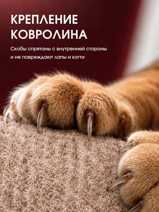 Когтеточка для кошки настенная угловая 50 30 см, бежевый, фото 4