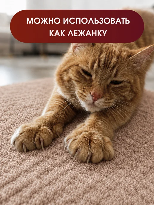 Когтеточка для кошки настенная угловая 50 30 см, бежевый, фото 5