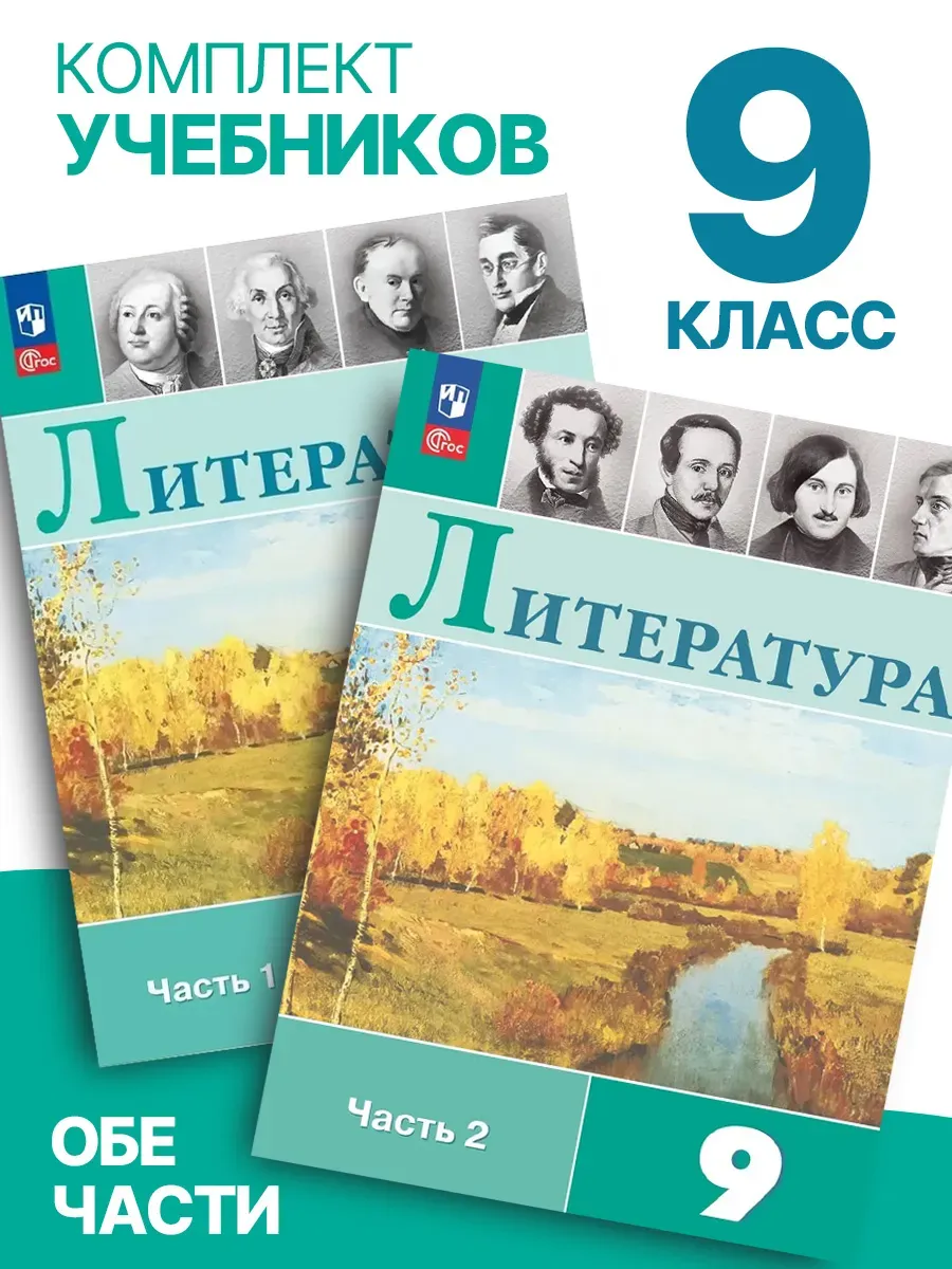 Литература 9 класс. Учебник обе части
