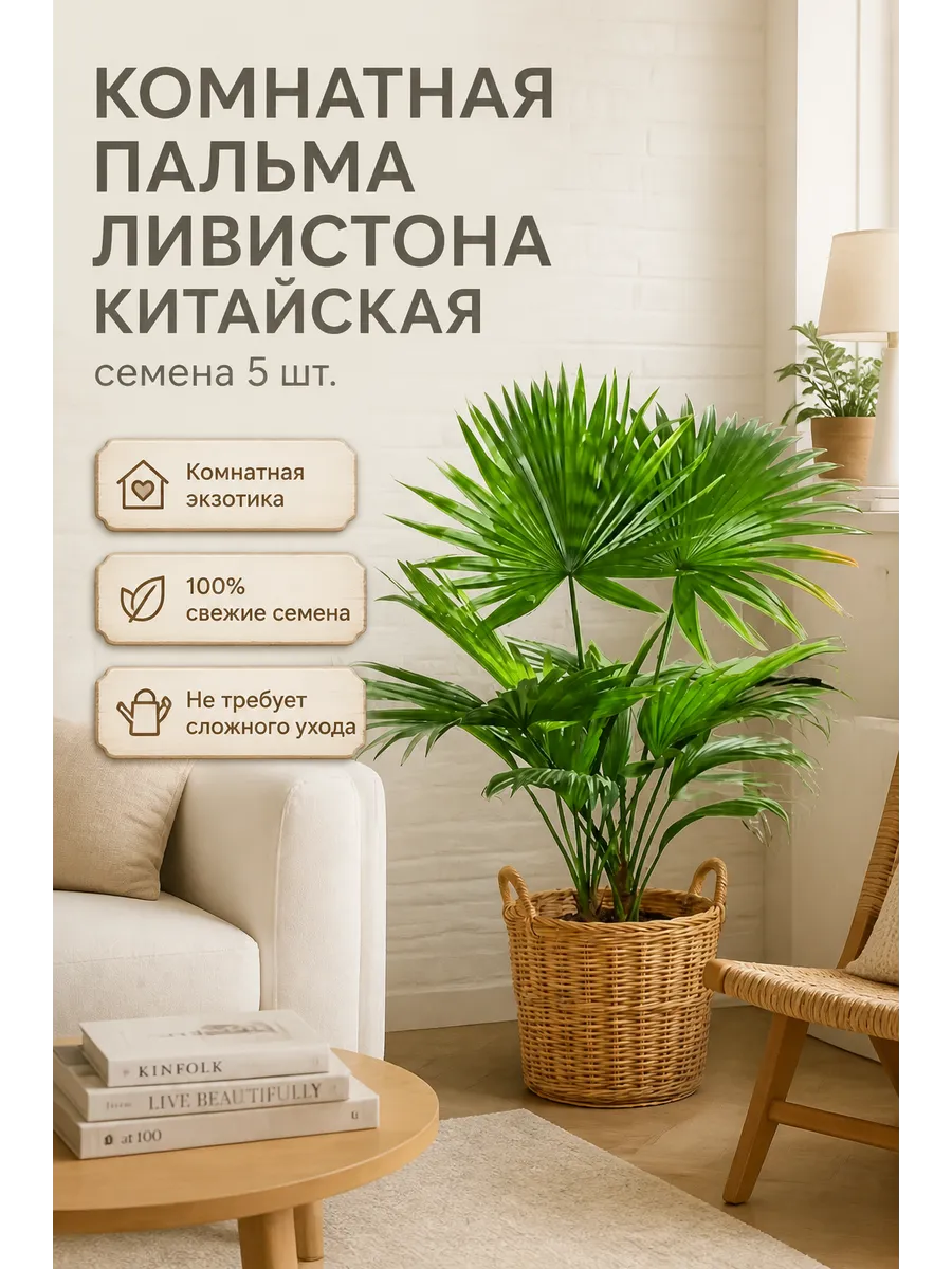 Пальма Ливистона китайская комнатная, семена 5 шт.