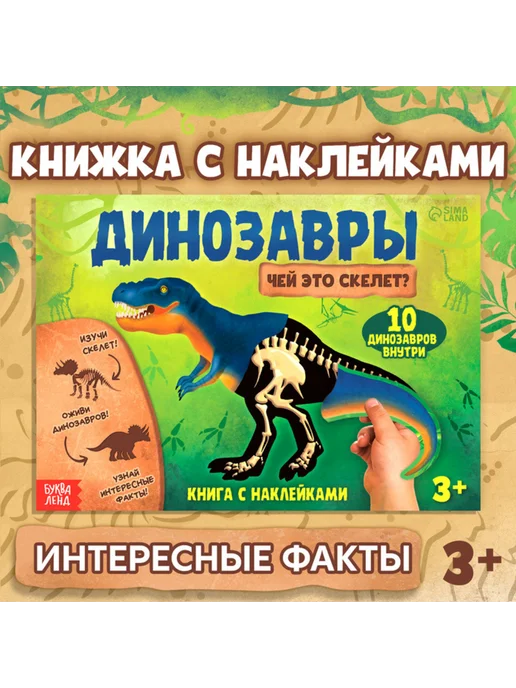 10085423